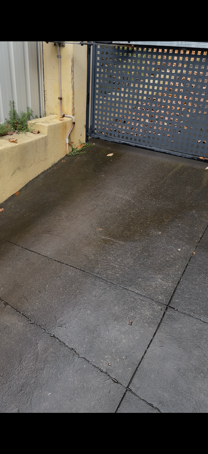Before — Rear courtyard concrete clean — Canberra